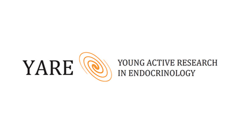 Logo Young Active Research in Endocrinology